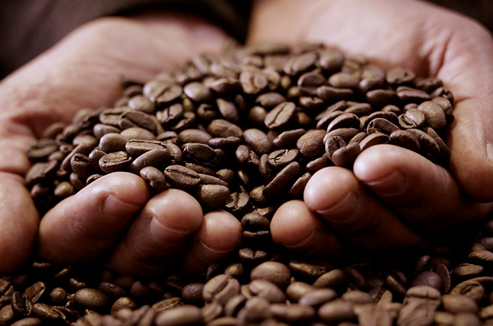 Sical - Origens SICAL - Processo de produção - Benefício do café